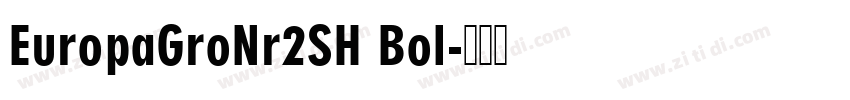 EuropaGroNr2SH Bol字体转换